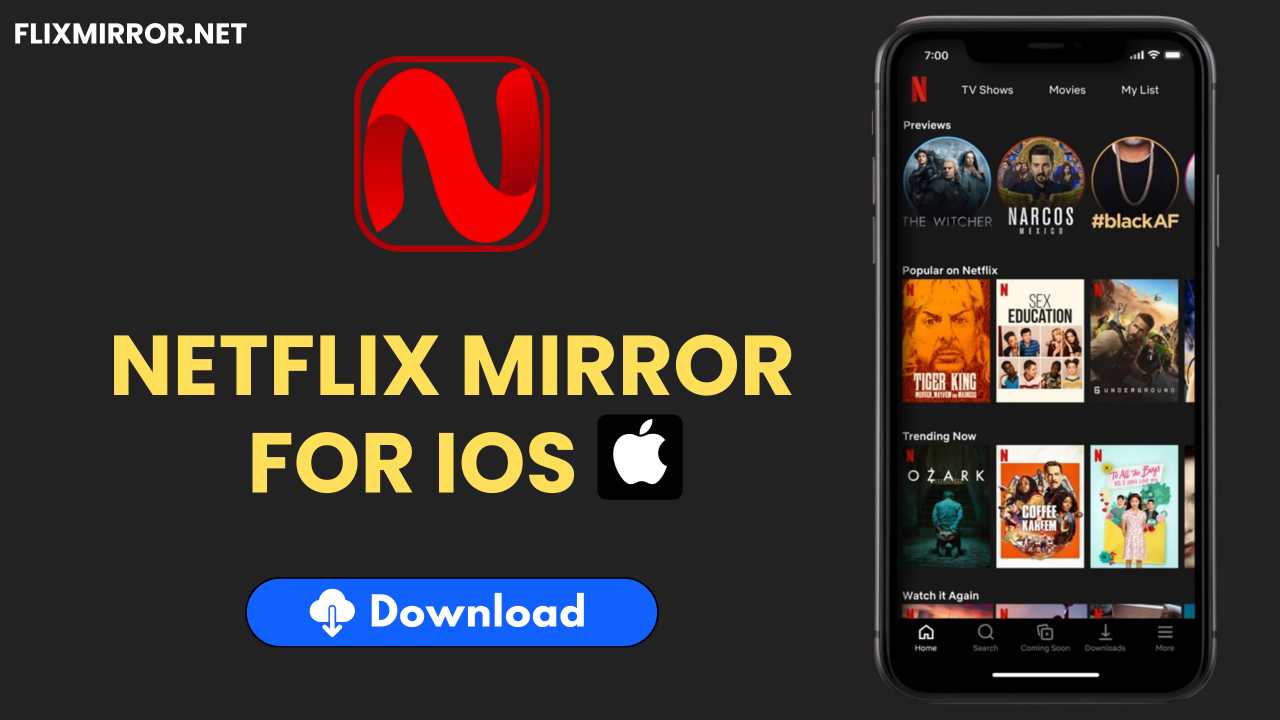 Netflix Mirror App For iOS